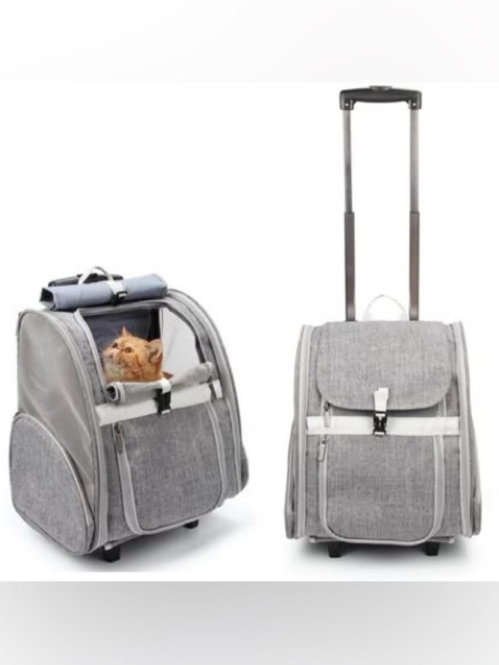 Lollimeow Pet Rolling Carrier, Cat, Dog Backpack with Wheels,Cats,Puppies Travel